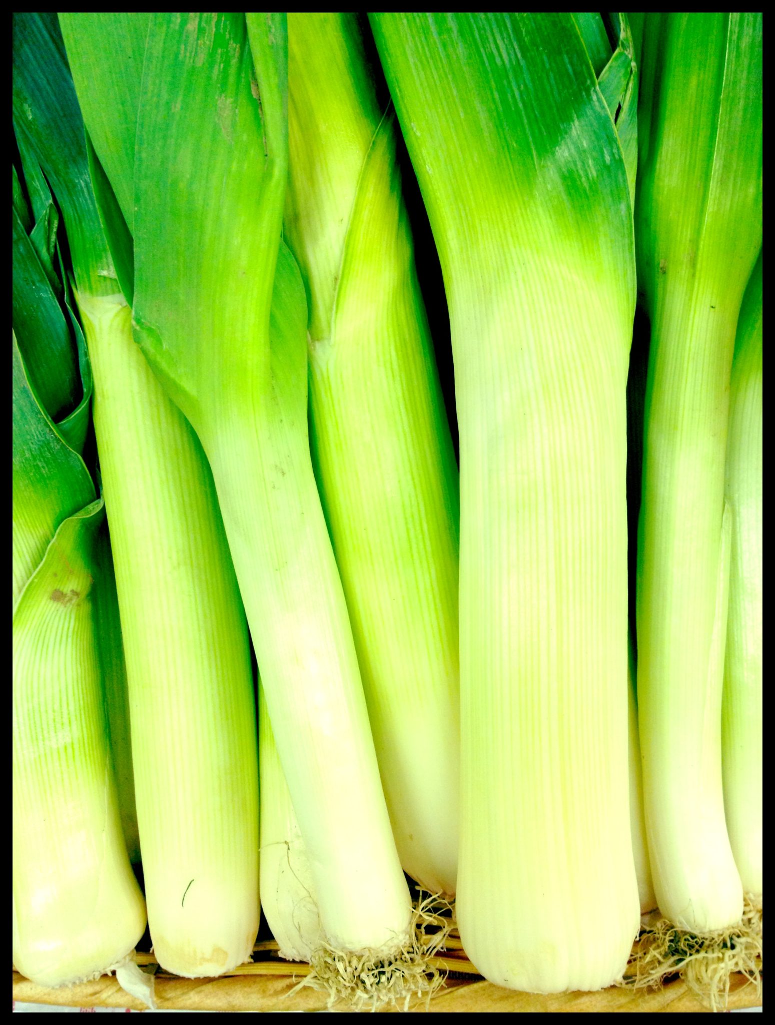 KITCHEN COPY: EASILY ELEGANT LEEKS - Wolff's Apple House