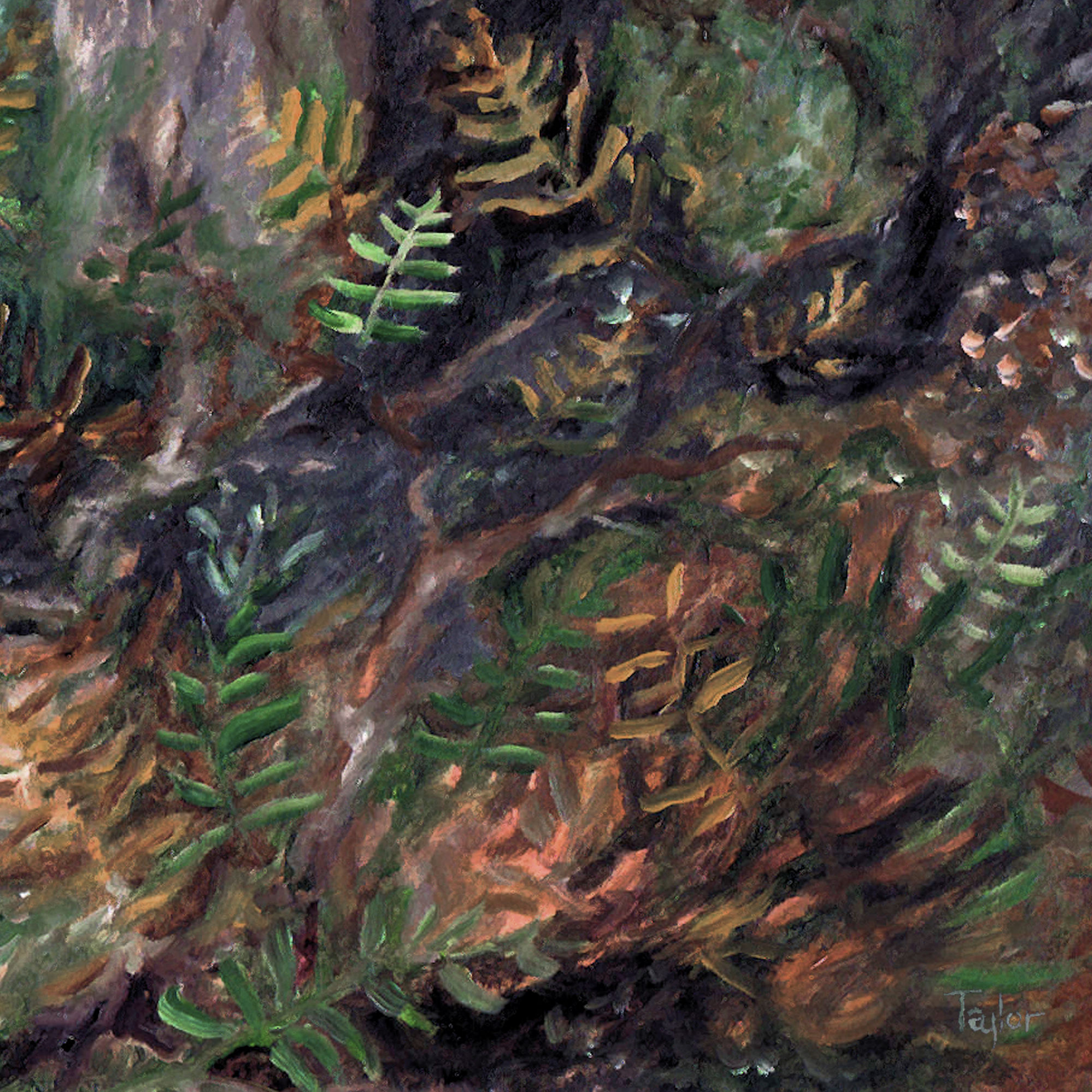 Ferny Hollow
