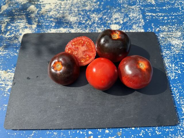 Bosque Blue Organic Tomato Seeds - Wolf Seeds