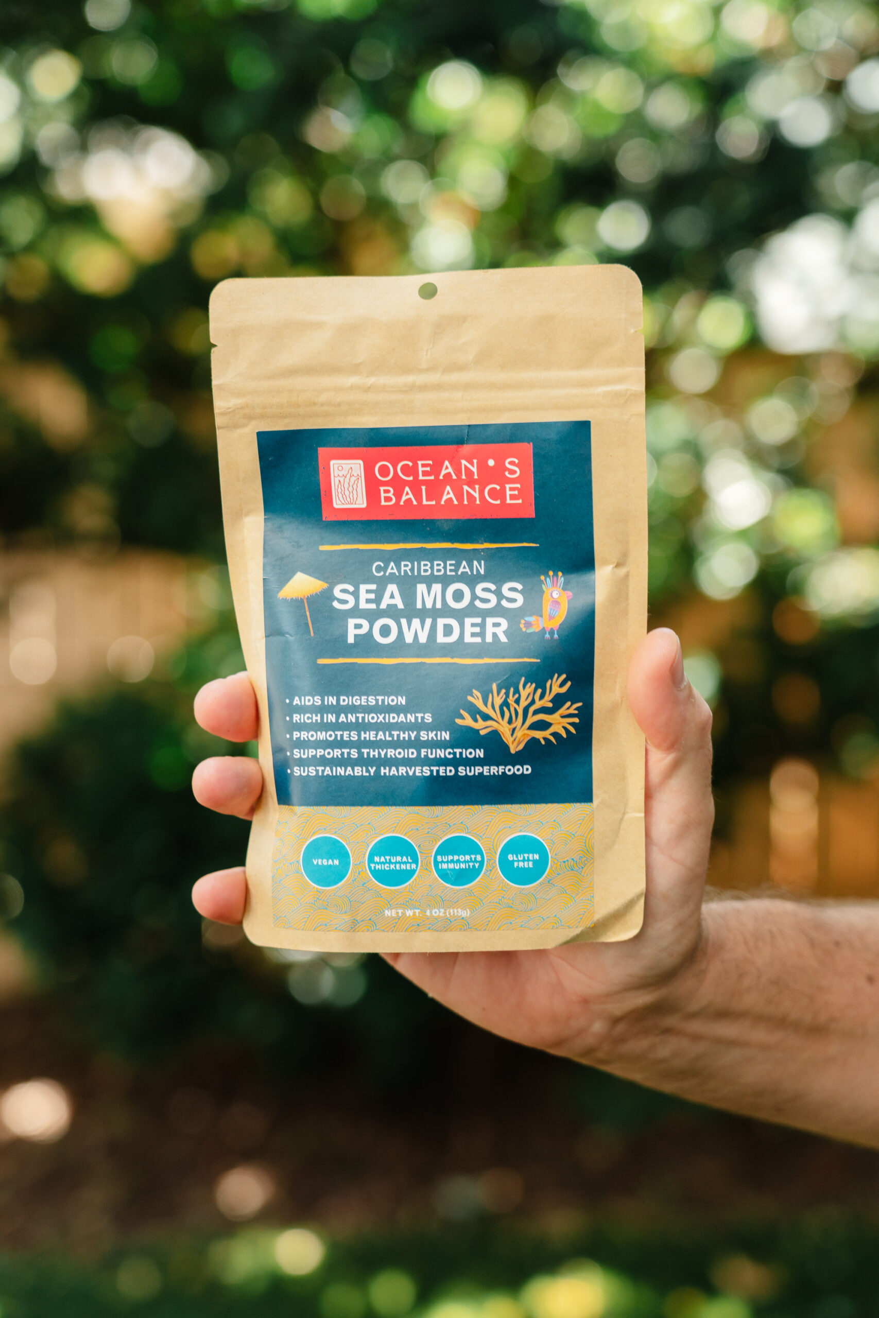 SEA MOSS POWDER