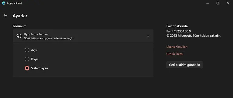 Microsoft Paint karanlık mod