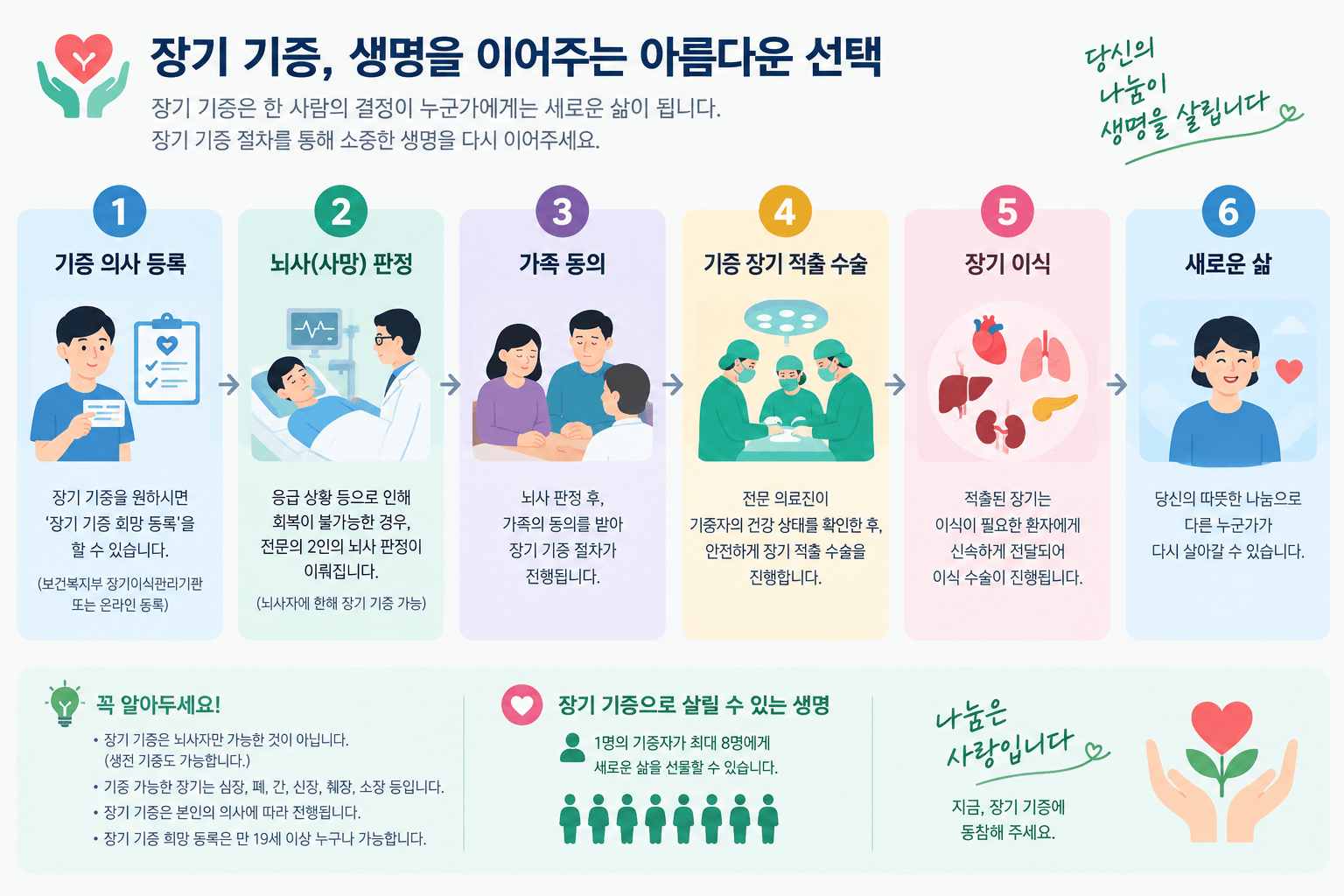 장기 기증의 절차를 단계별로 시각화한 다이어그램