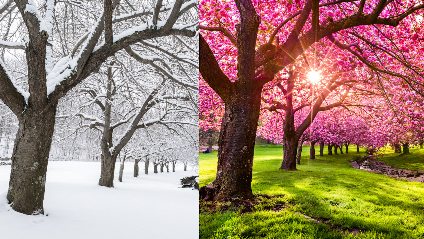 spring is that you