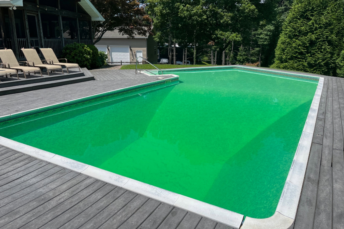 Our mean green pool