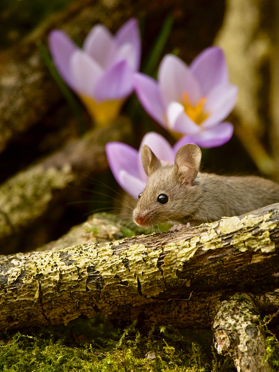 ISO 200 • 105mm • f6.7 • 1/125