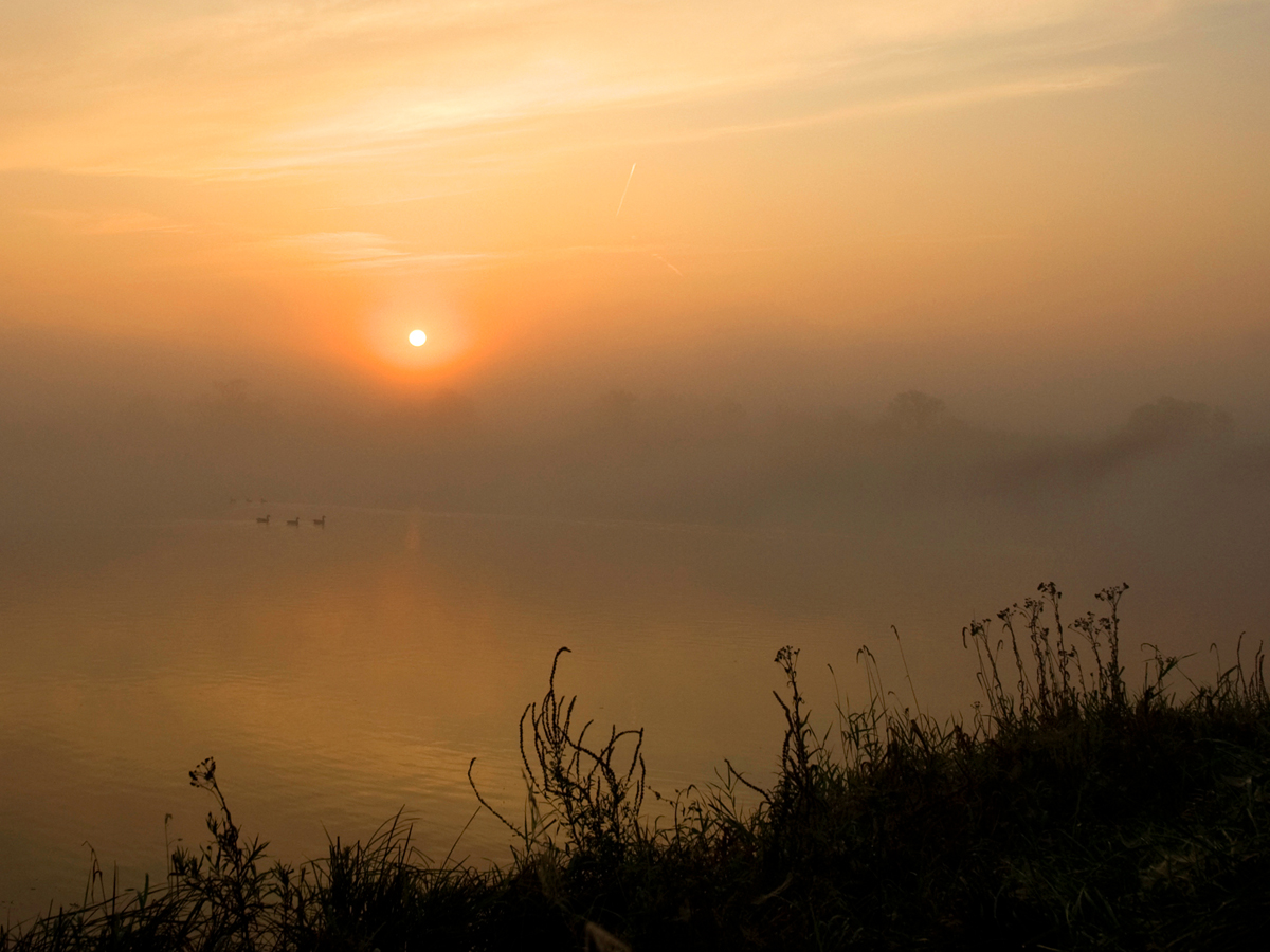 ISO 400 • 14-24mm • f7.1 • 1/1250