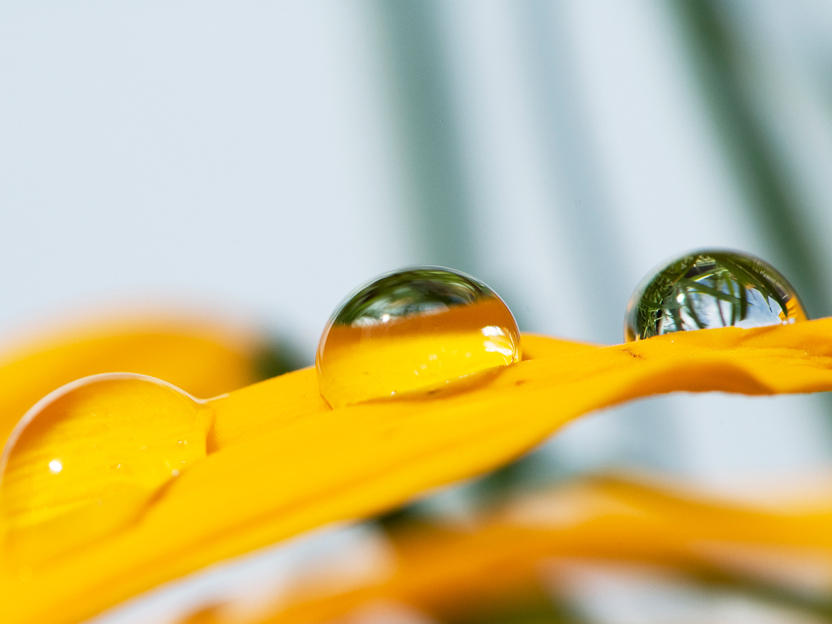 ISO 200 • 105mm • f16 • 1/250