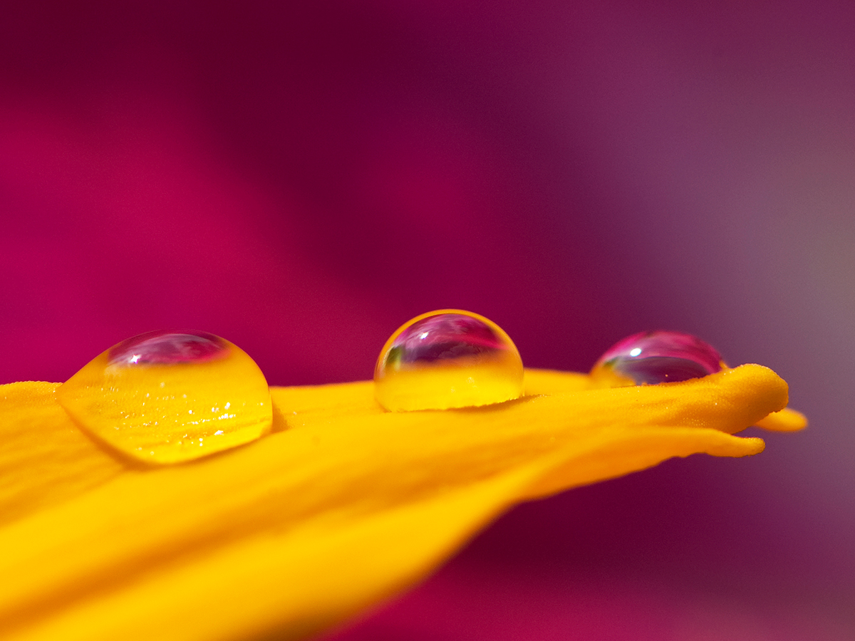 ISO 200 • 105mm • f11 • 1/350