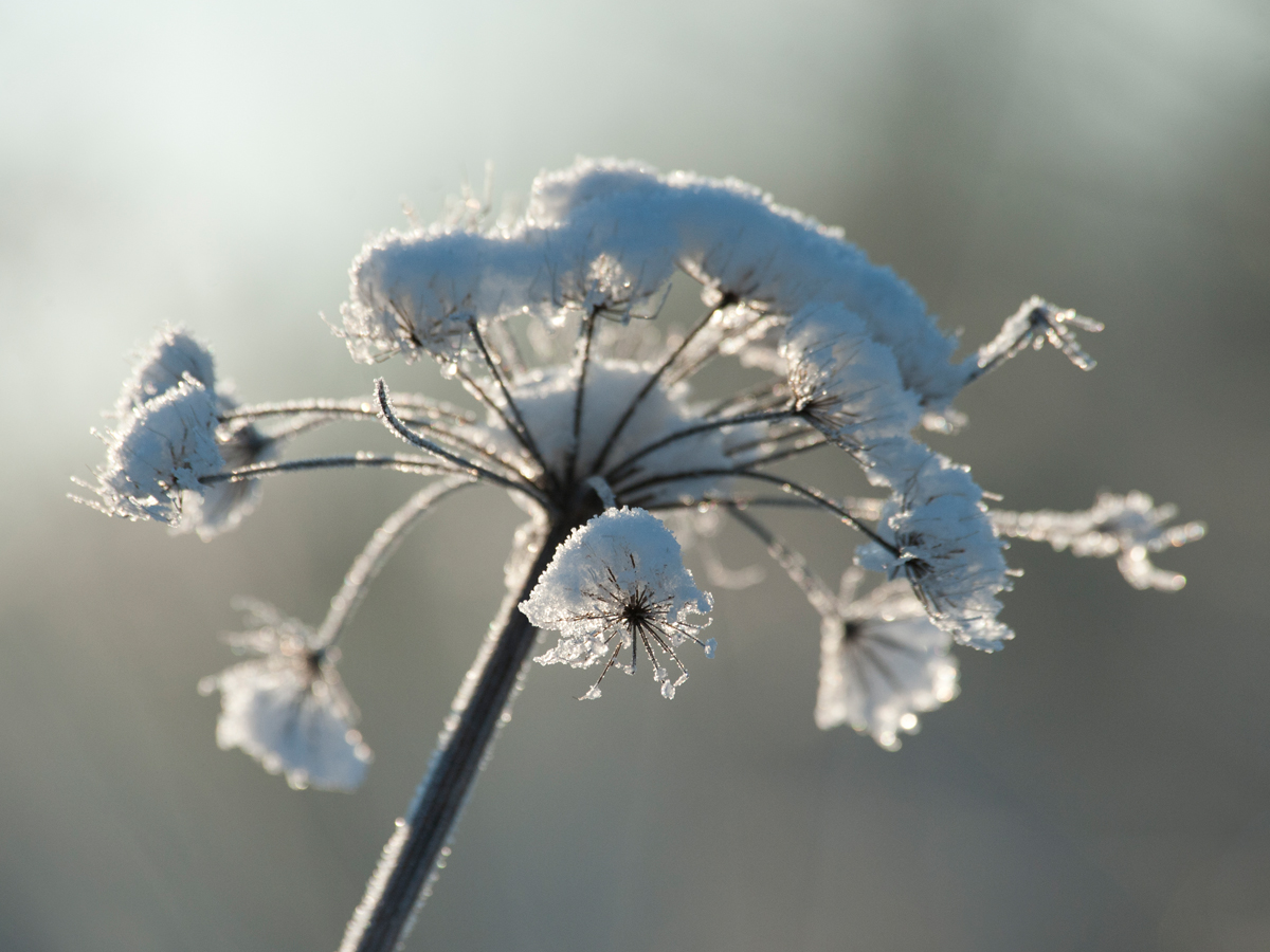 ISO 1000 • 80-400mm • f6.3 • 1/5000