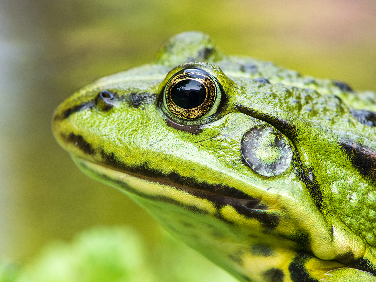 ISO 1000 • 105mm • f20 • 1/40