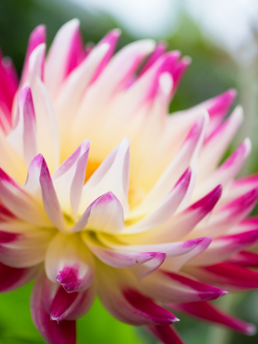 ISO 1600 • 105mm • f8 • 1/400