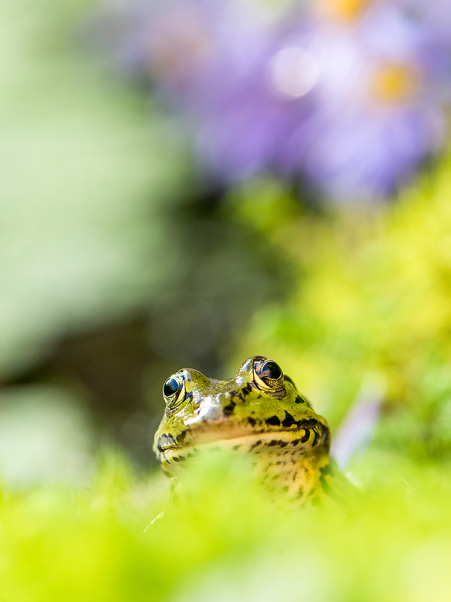 ISO 800 • 105mm • f8 • 1/125