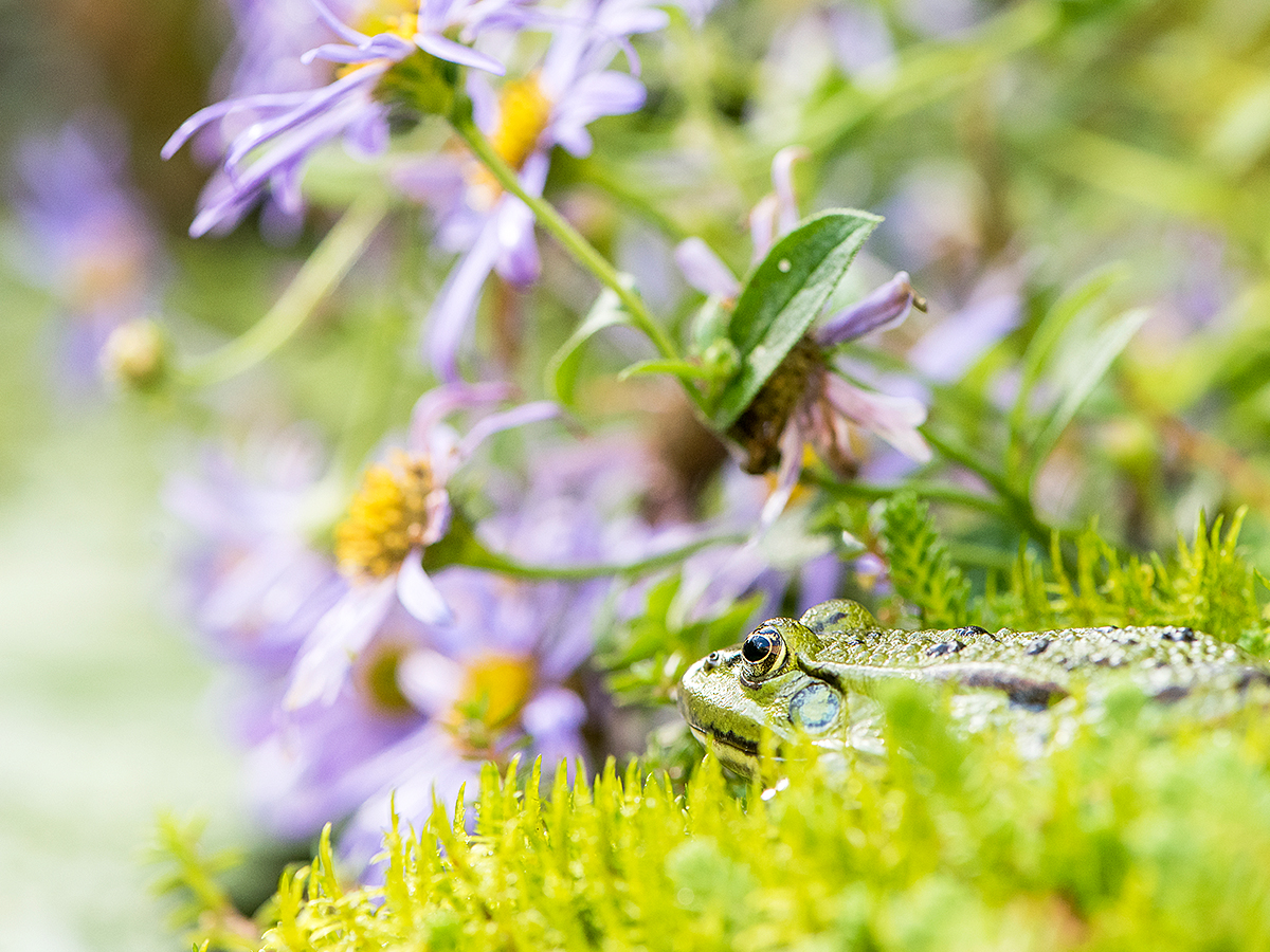 ISO 800 • 105mm • f8 • 1/200