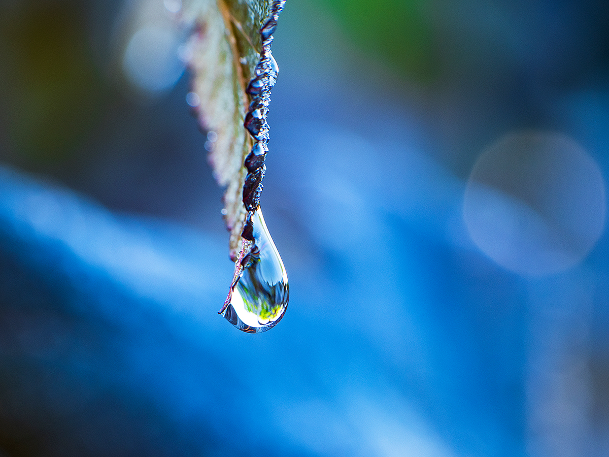 ISO 400 • 105mm • f11 • 1/15 (met tussenringen 12+20+36)