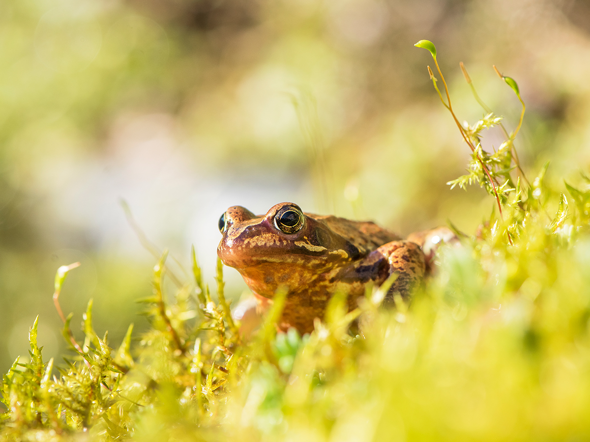 ISO 400 • 105mm • f8 • 1/500