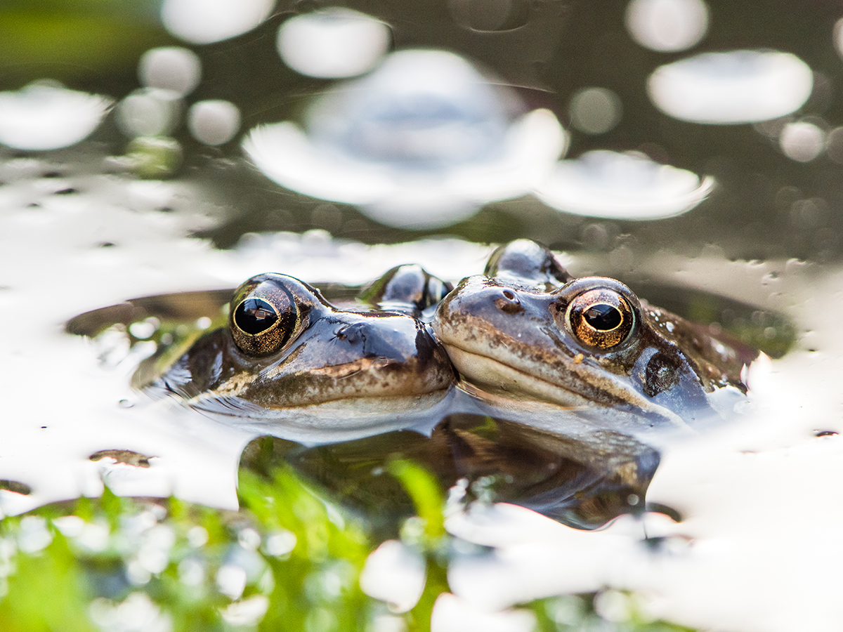 ISO 400 • 105mm • f8 • 1/400