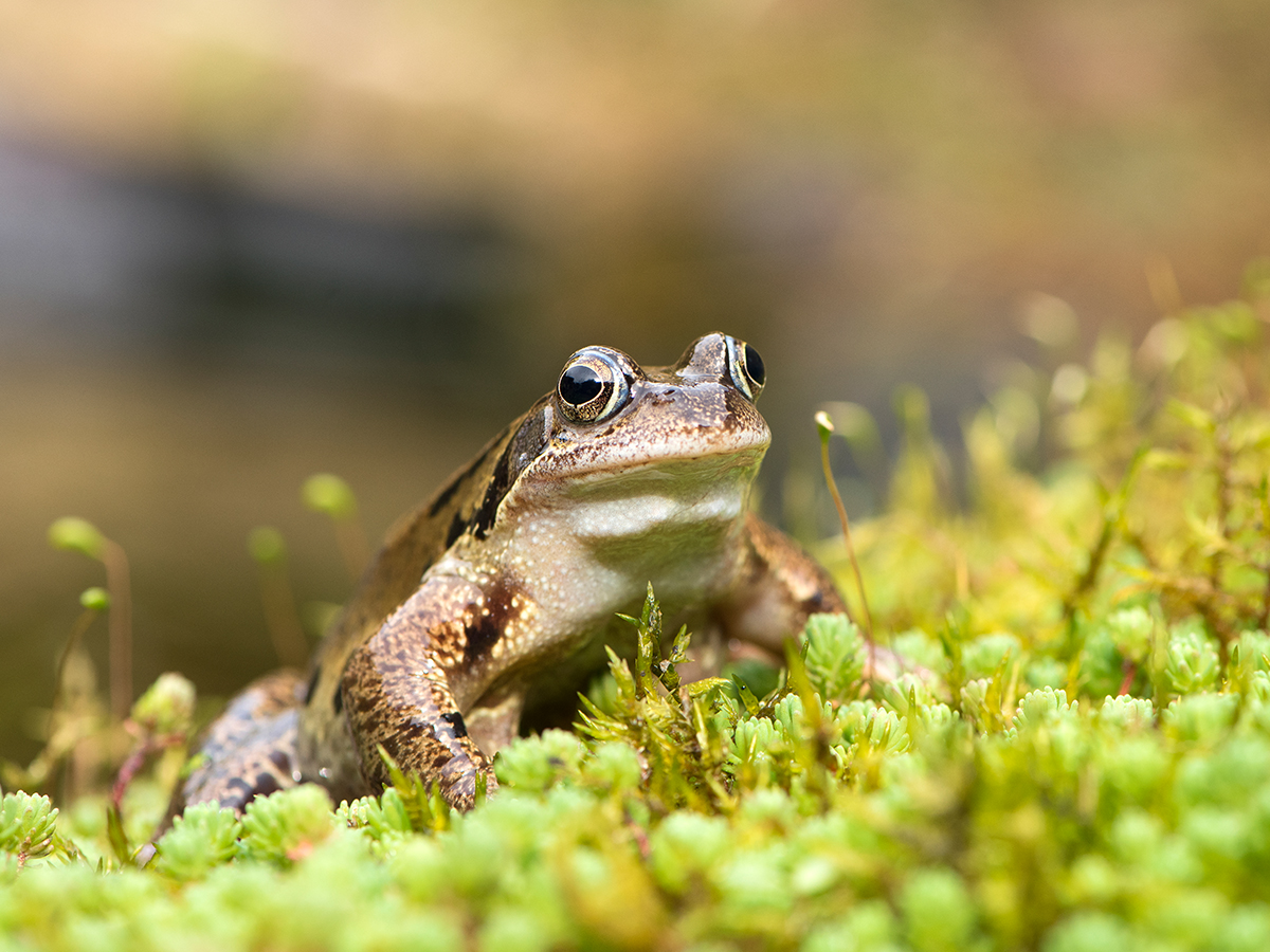 ISO 400 • 105mm • f8 • 1/400