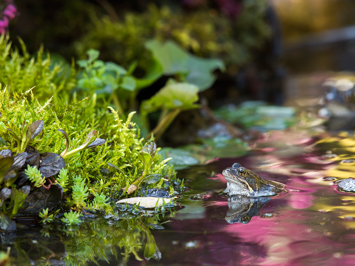 ISO 400 • 200-500mm • f7.1 • 1/40