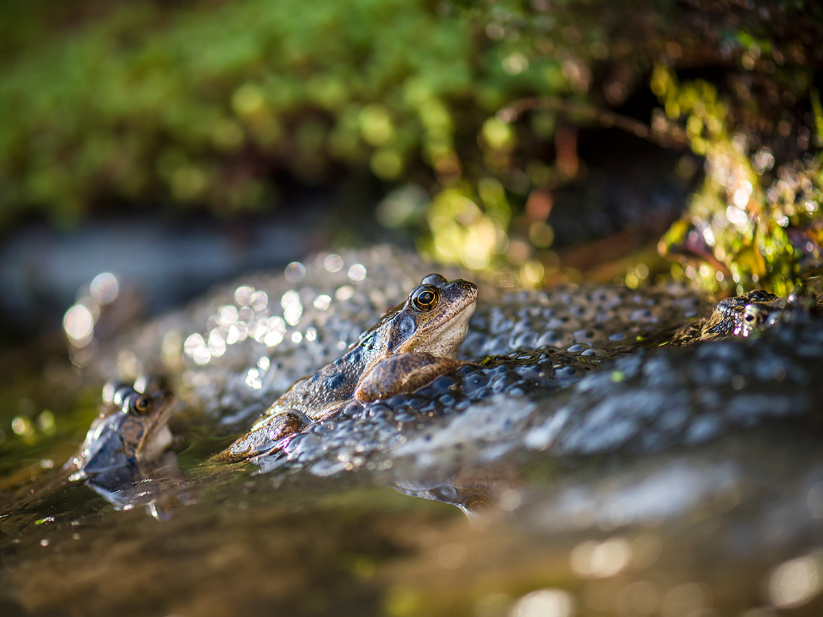 ISO 64 • 105mm • f3 • 1/100