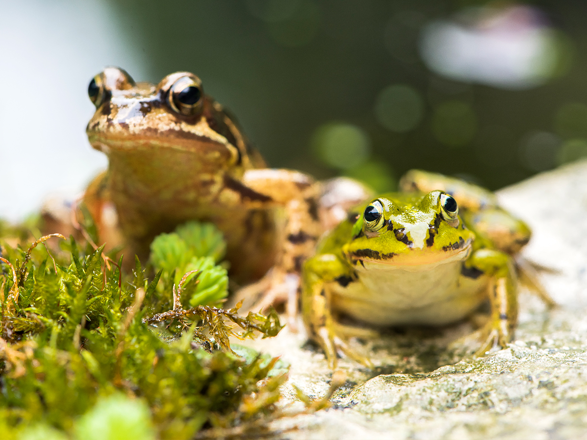 ISO 400 • 105mm • f8 • 1/30