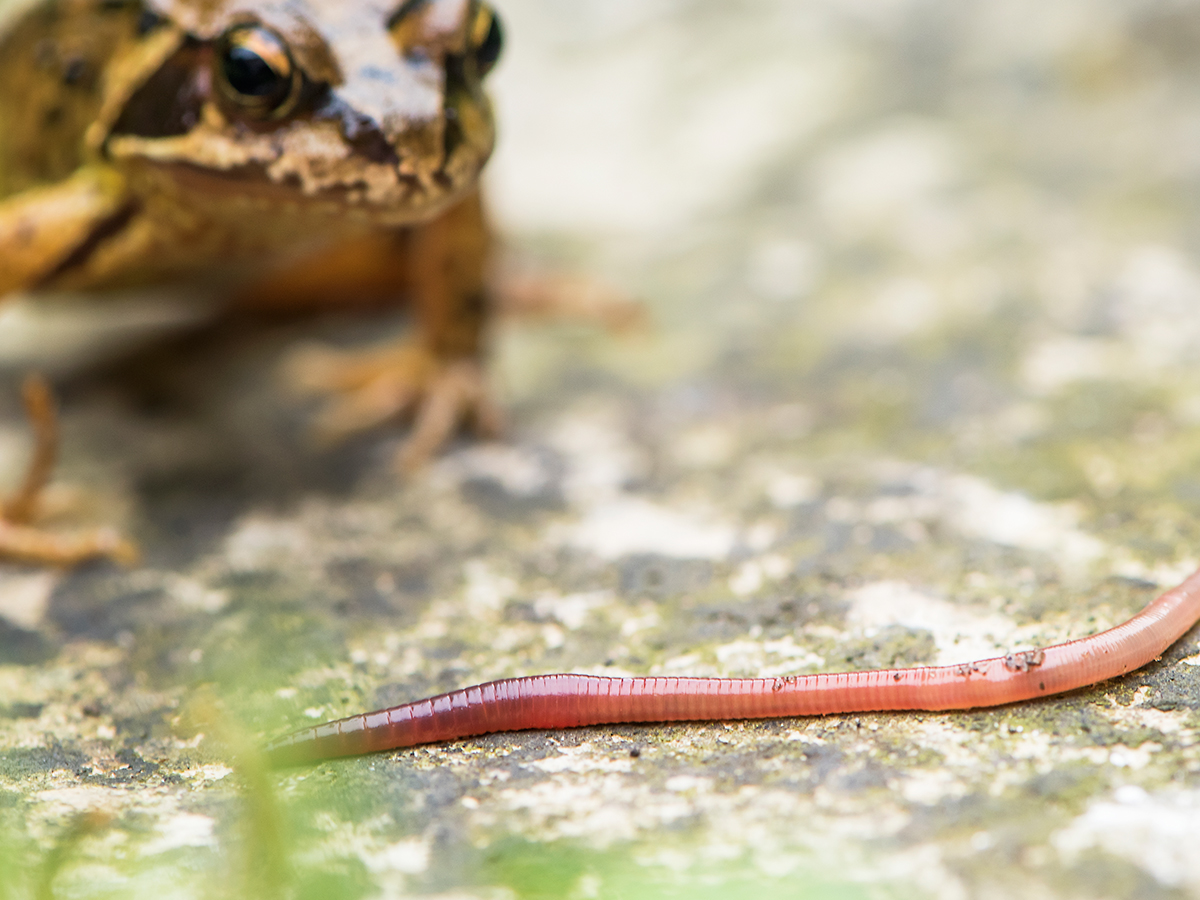 ISO 400 • 105mm • f8 • 1/30