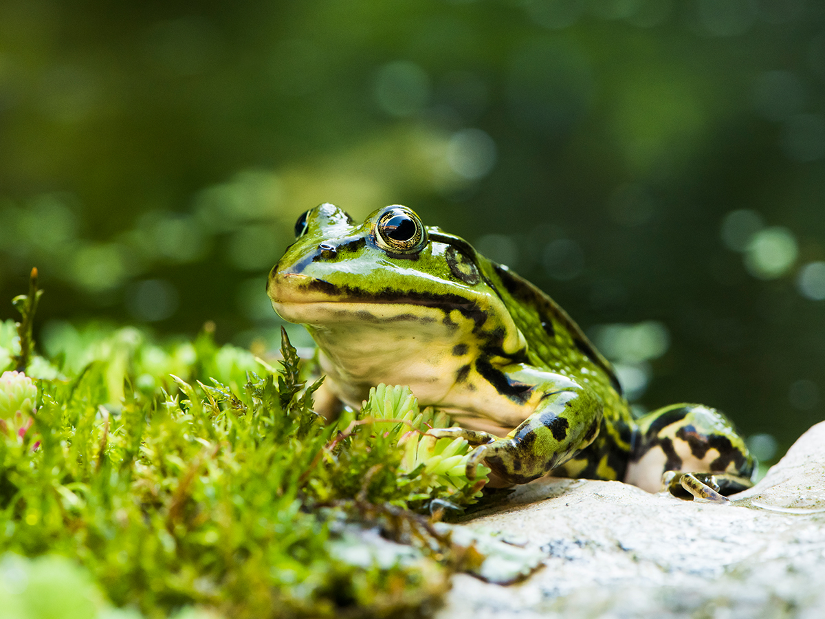 ISO 1000 • 105mm • f11 • 1/50