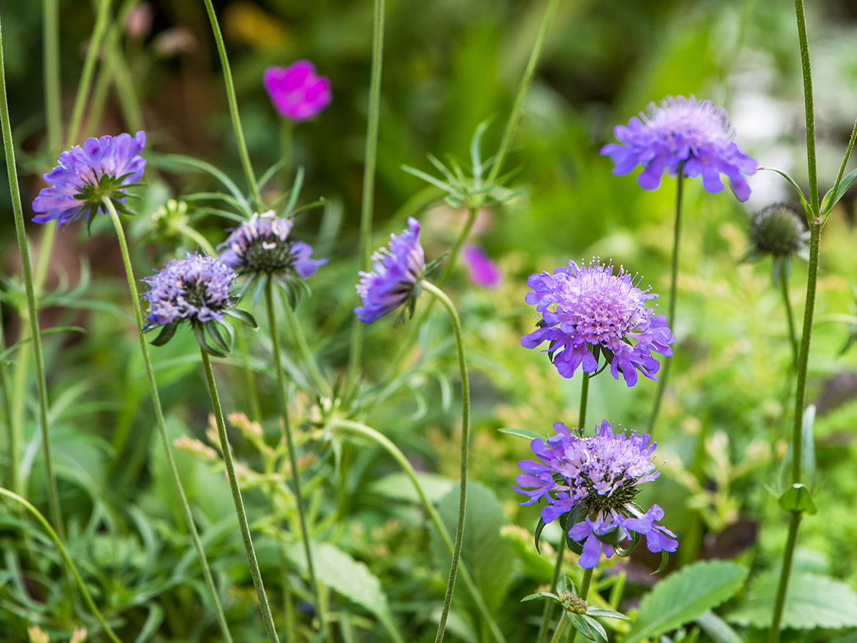 ISO 800 • 105mm • f7.1 • 1/60