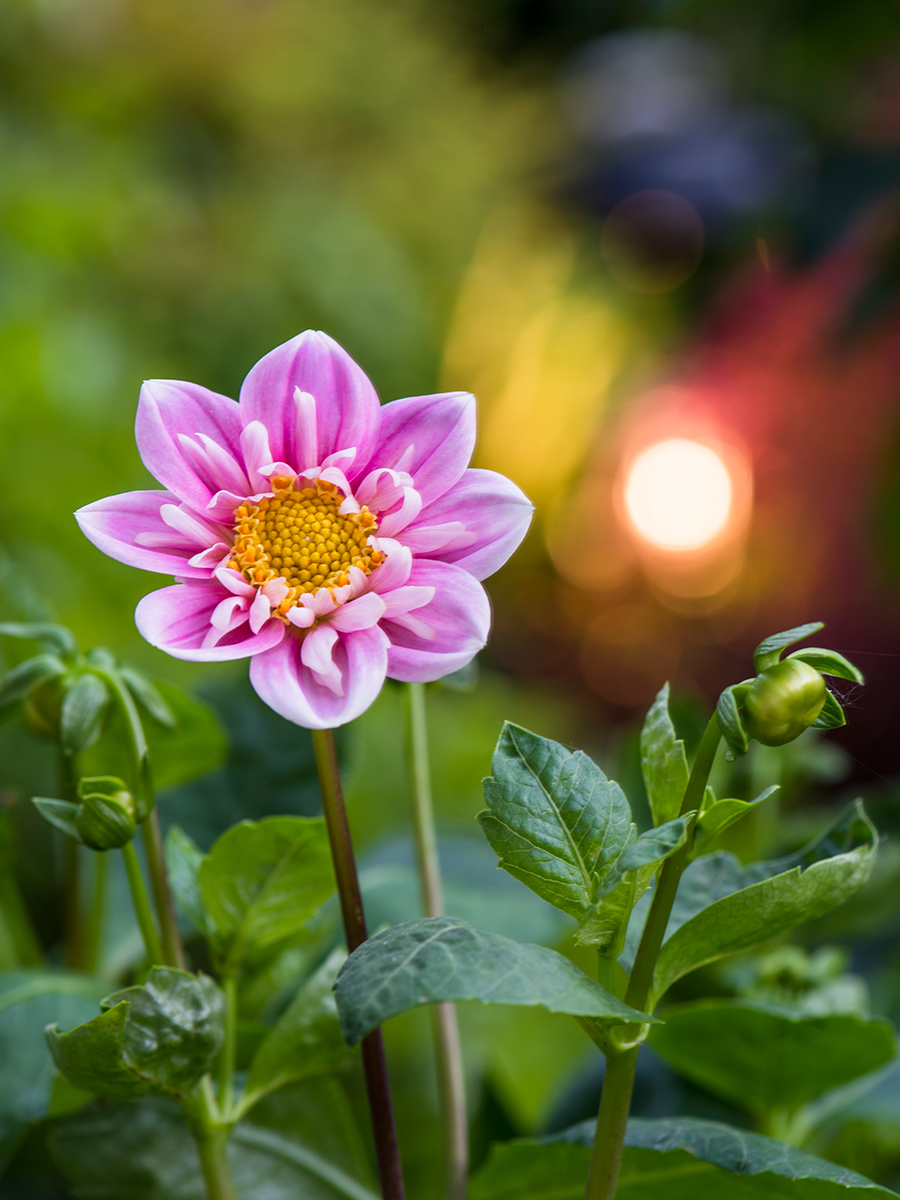 ISO 64 • 105mm • f8 • 1sec