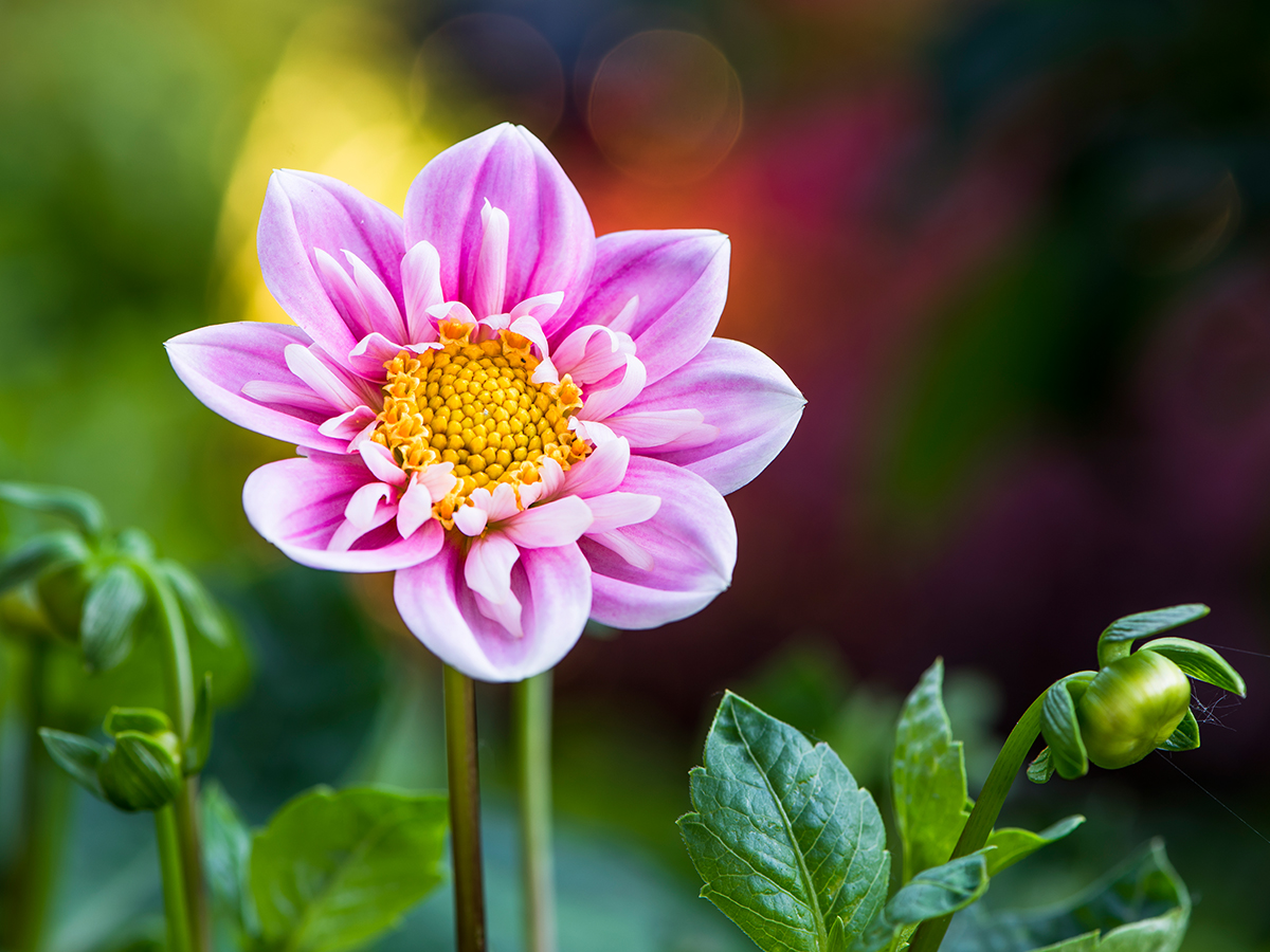 ISO 31 • 105mm • f8 • 3sec