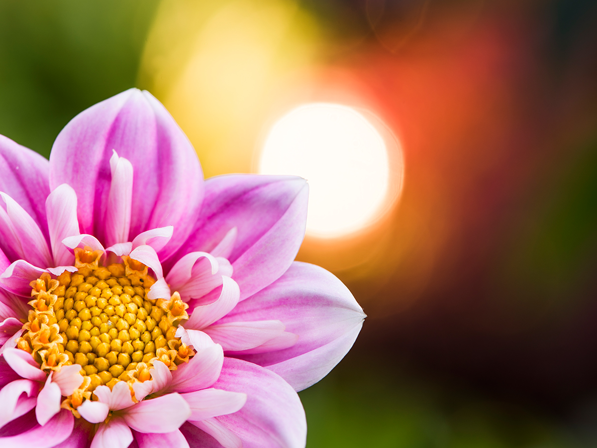 ISO 31 • 105mm • f9 • 4sec