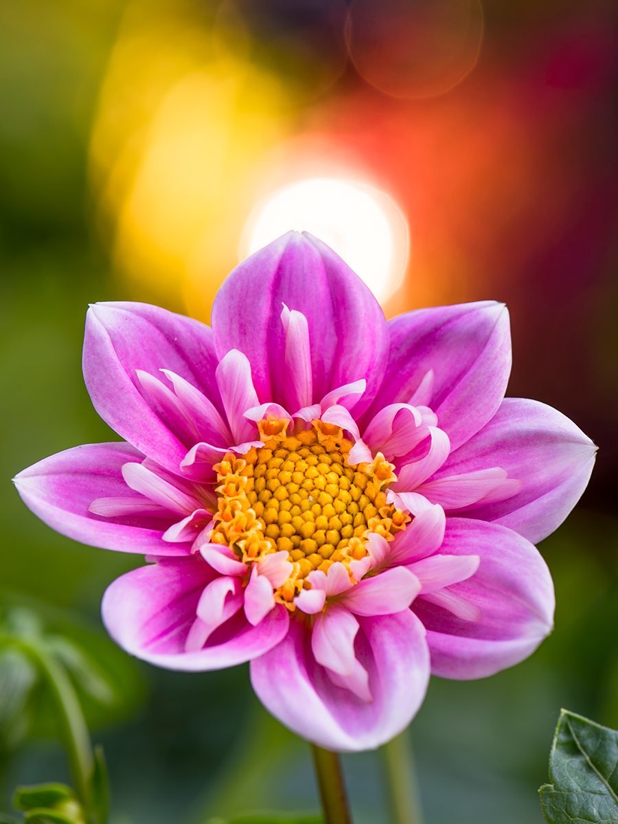 ISO 31 • 105mm • f9 • 4sec