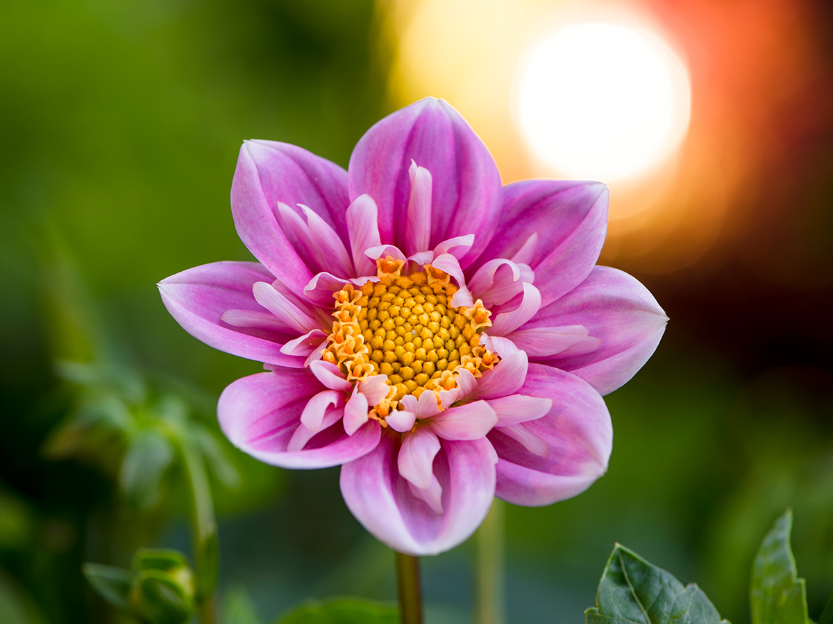 ISO 31 • 105mm • f7.1 • 3sec