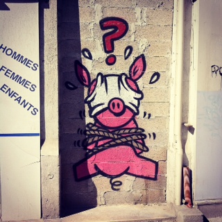 Cochon qui ou qui pleure ?