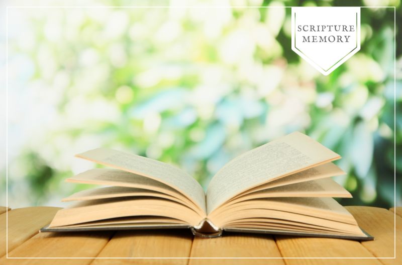 An Easy Scripture Memory Method Wonder Filled Days - Stunning City Photo - High Resolution