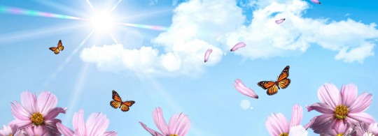 Images have the power to move your emotions like few things in life. Spring Wallpaper For Desktop Tagged On The Wondrous Pics