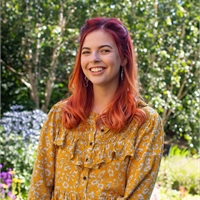 Lily Freeman Jones Wonkhe - Modern Retina Minimal Illustrations | Free Download