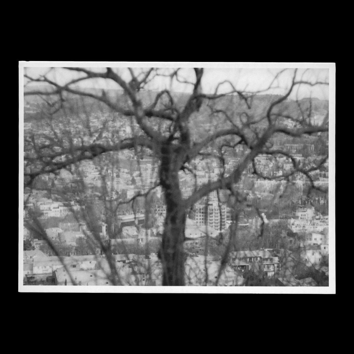Postcard ta_spector — №5