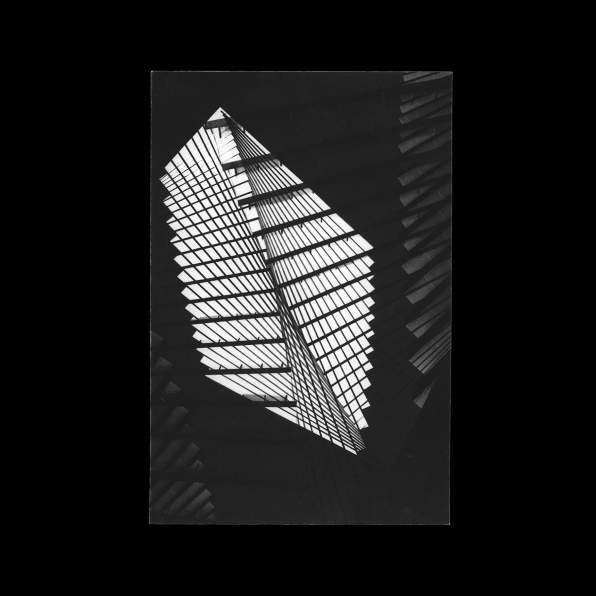 Postcard Bifurcation — №6