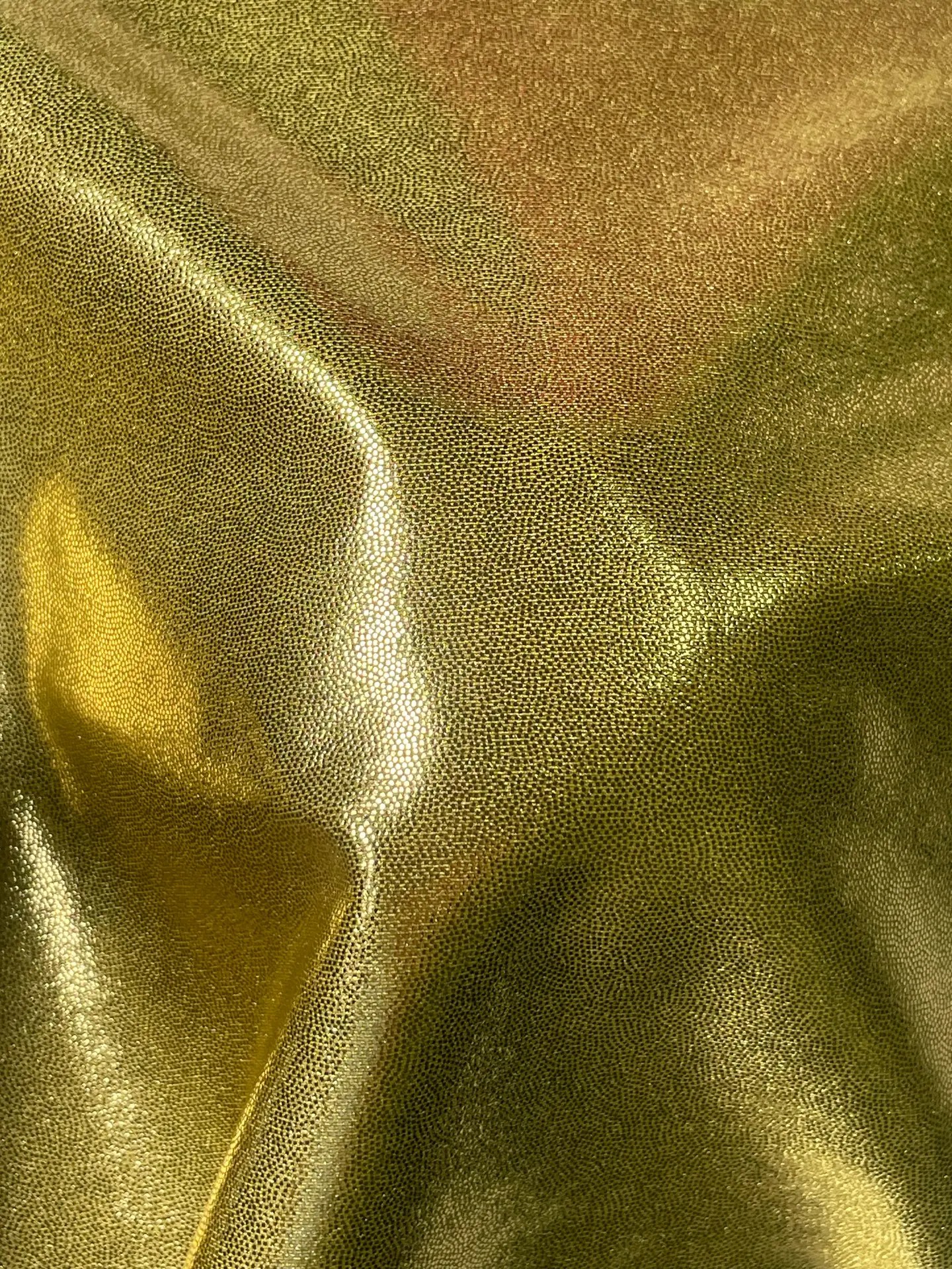 Golden with Gold