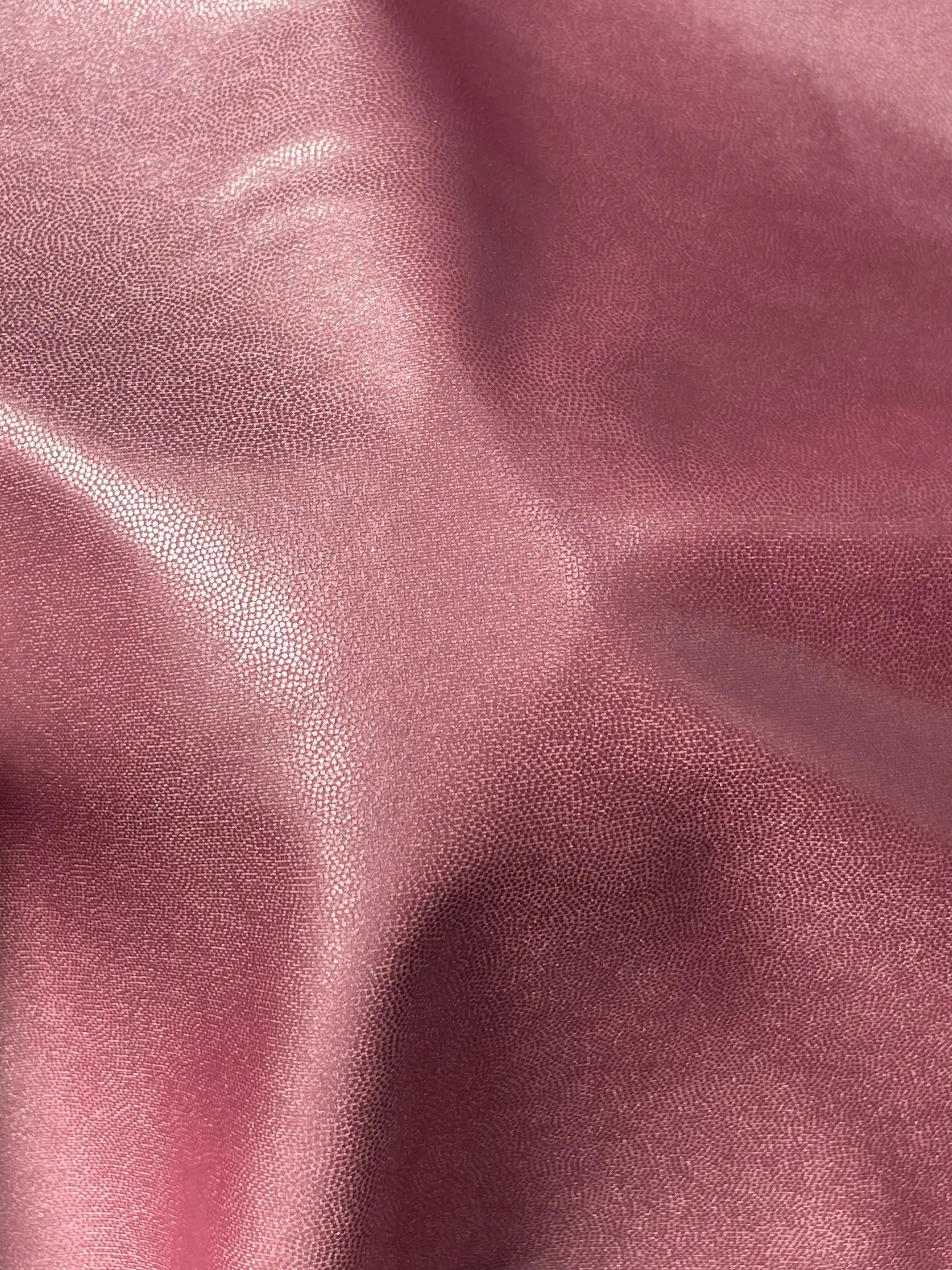 Taffy with Pink Pearl