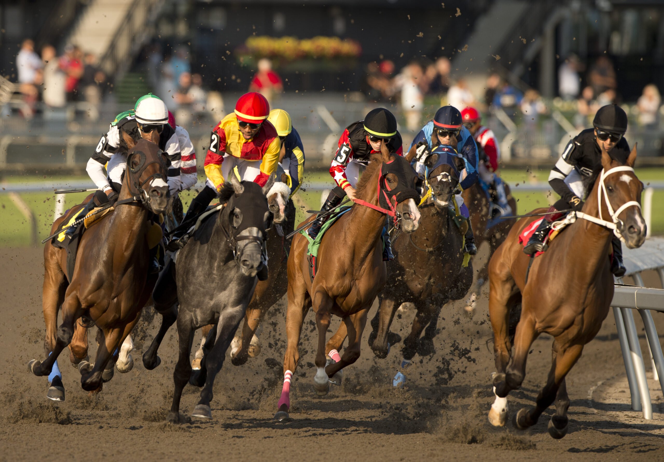 Live Racing Continues at Woodbine Racetrack on July 18, 2026 Despite Air Quality Concerns (2026)