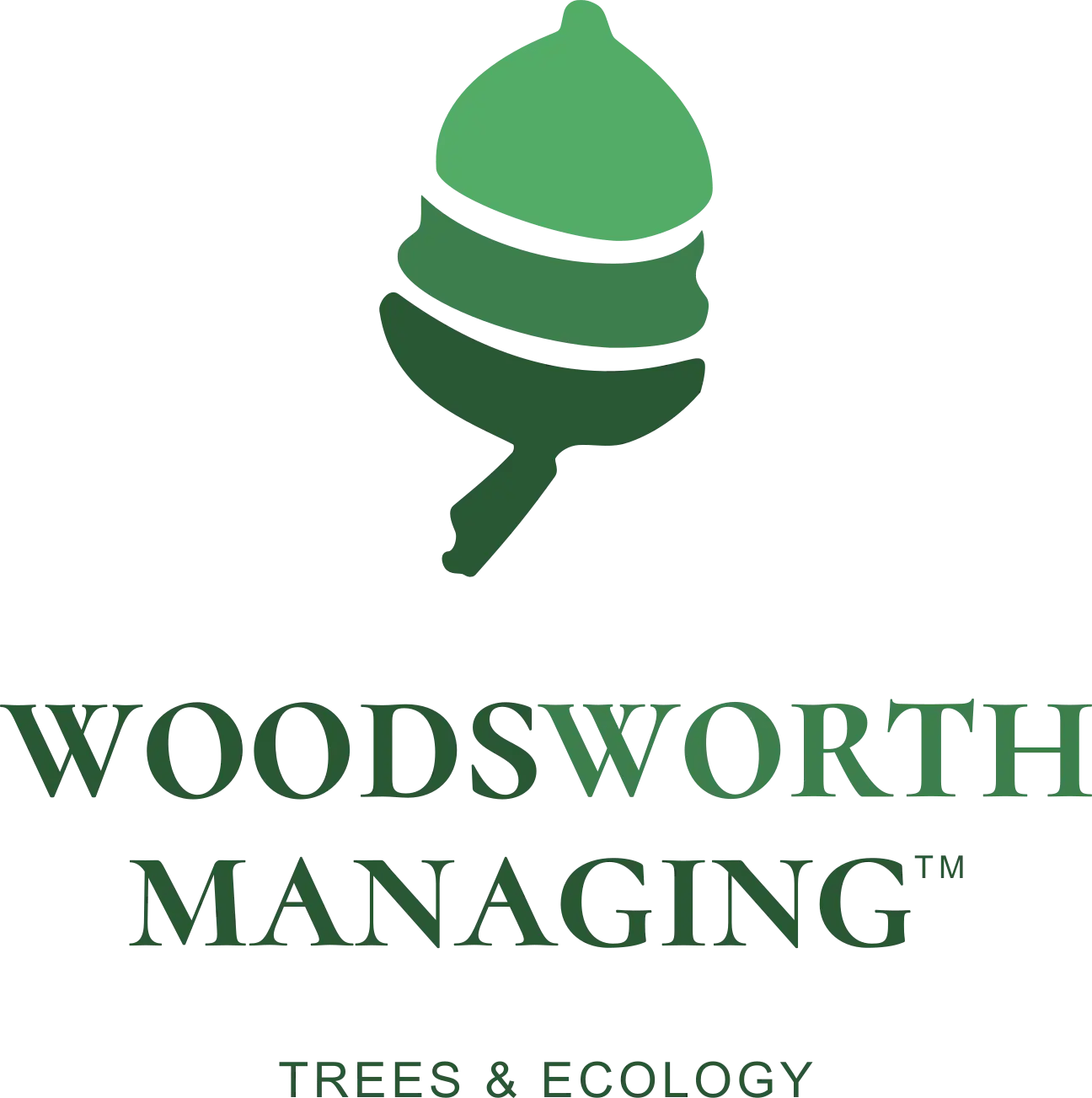 Acorn logo of Woodsworth Managing