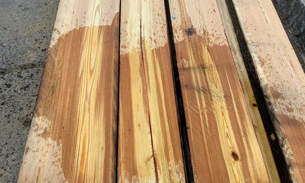 Top 20 hardest wood in the world (based on janka hardness)