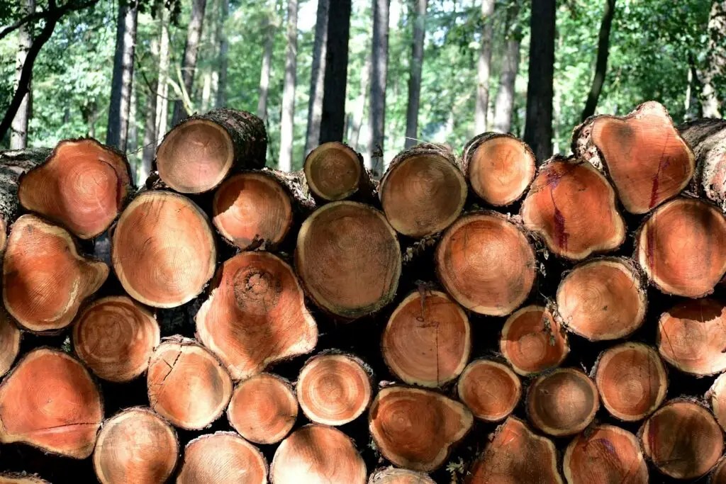 Sustainable Wood