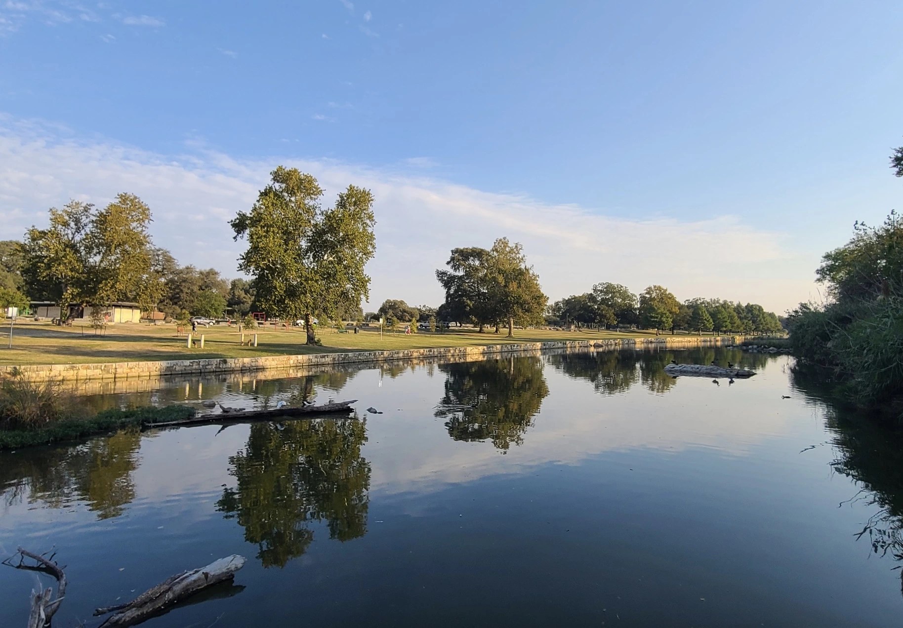 Best Places to Walk Dogs Near Austin Trails