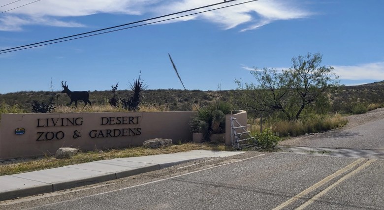 Living Desert State Park Carlsbad NM