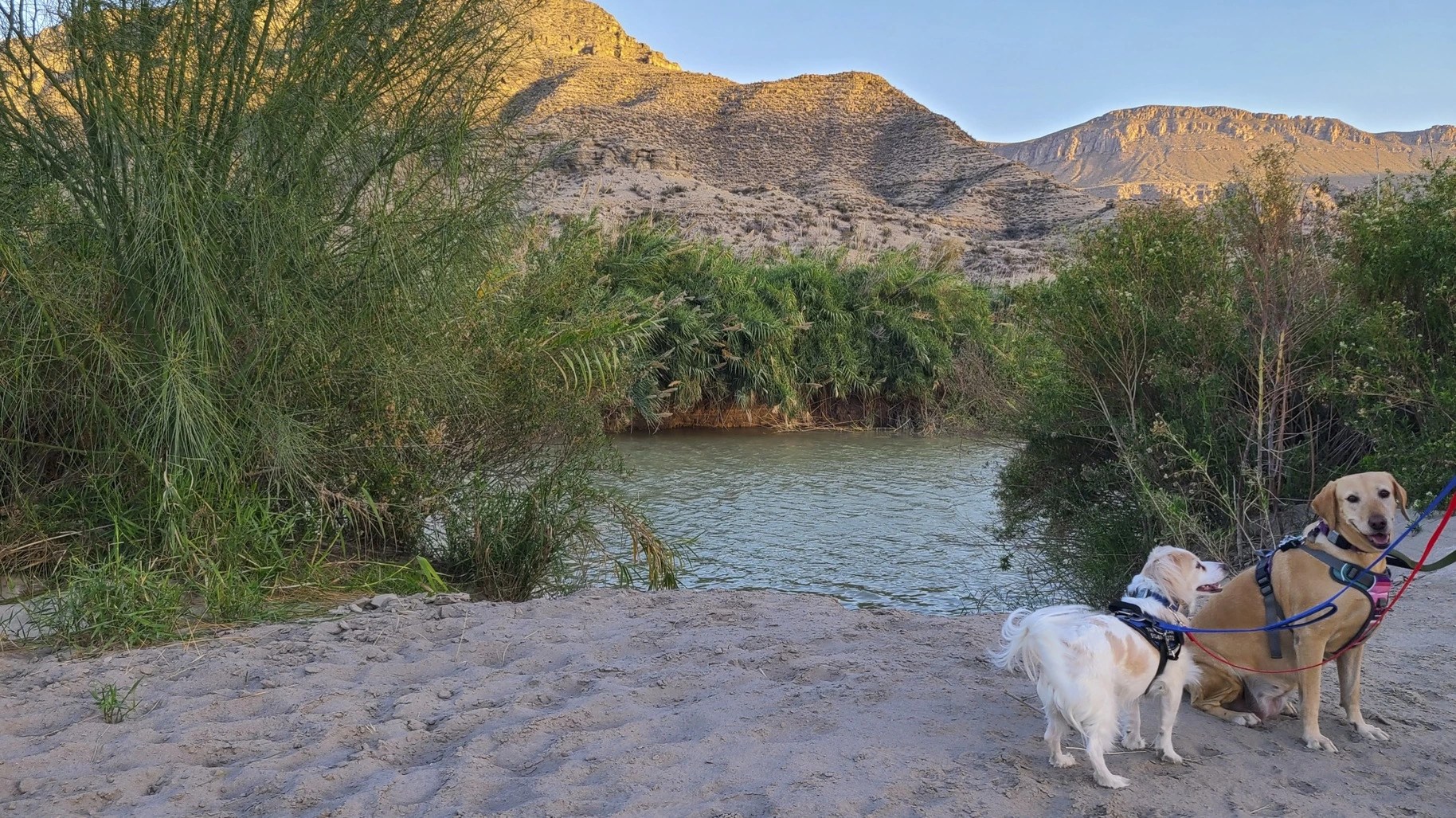 Camping at Black Gap Wildlife Management area in Texas