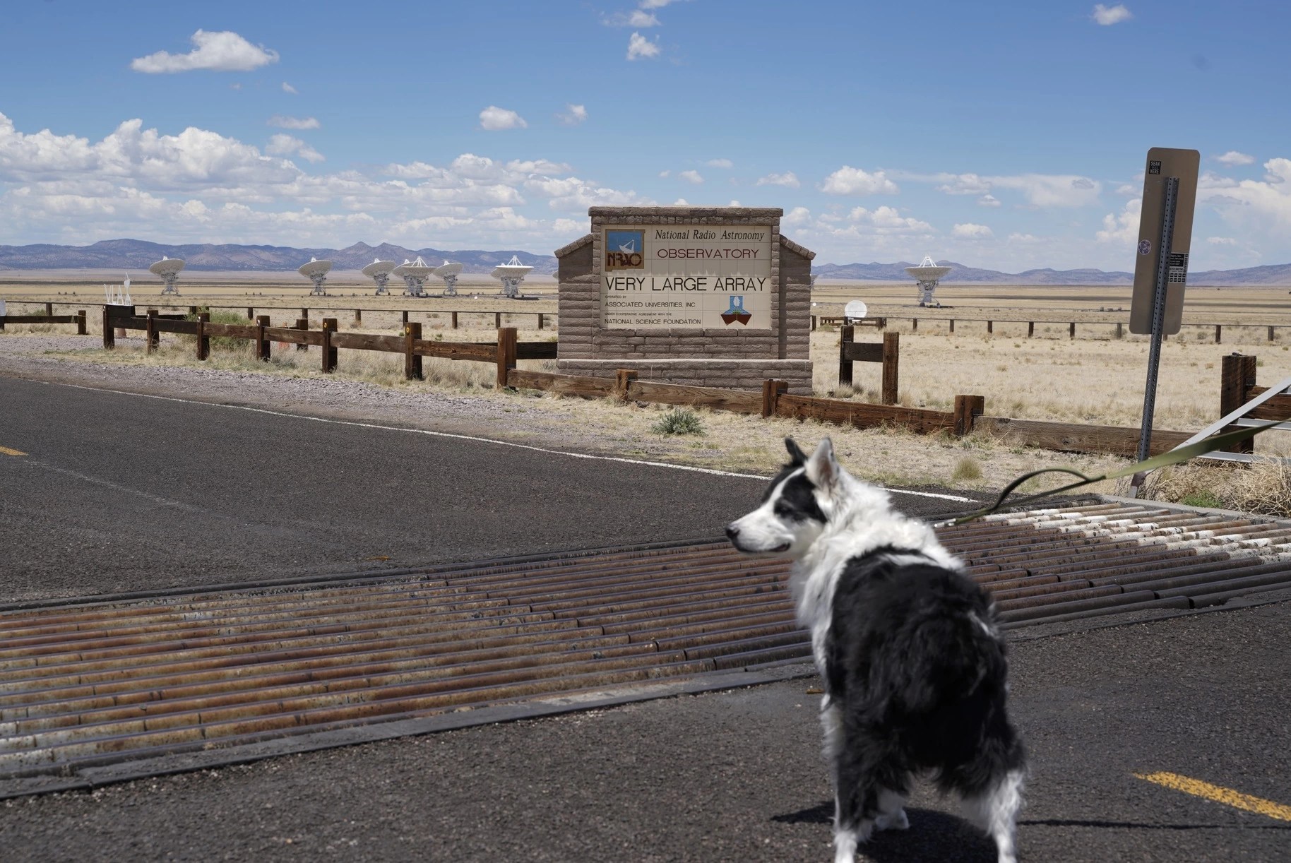 At the VLA or Very Large Array, near Socorro, New Mexico