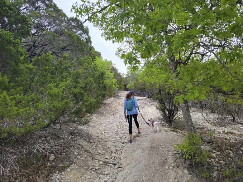 dana peak loop