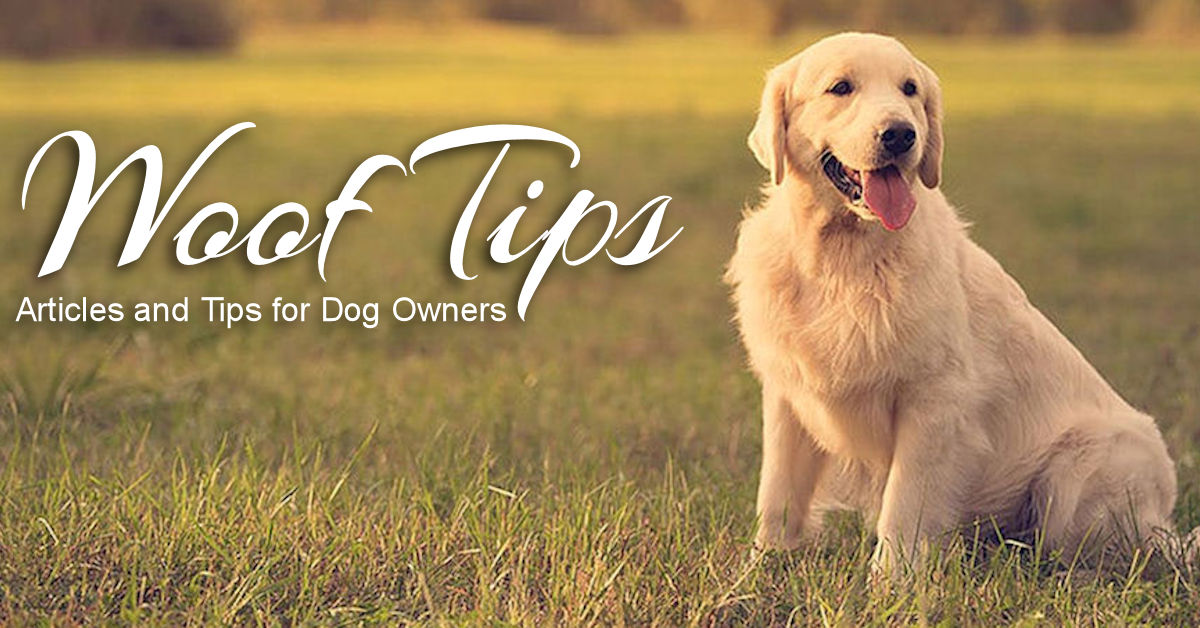 Woof Tips - Articles and Tips for Dog Owners